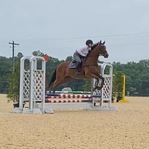 Meet your Posher, Isabelle